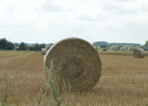 fin de la moisson 2024