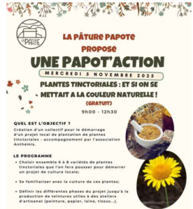 5 Novembre 2025 formation de notre collectif plantes tinctoriales par l&rsquo;association Anthemis
